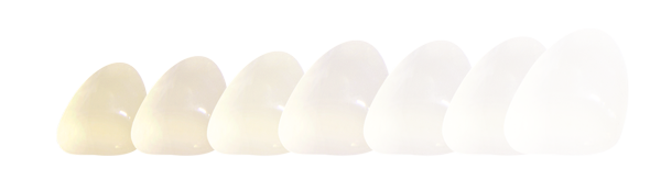 Ceramics dental